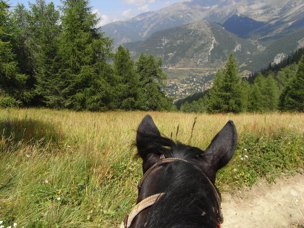 Gite Montagne Mercantour Villa Valdeblore Kültér fotó